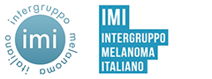 Logo IMI